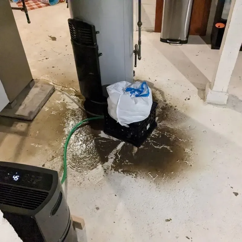 Sewage Backup Cleanup Service in Redkey, IN